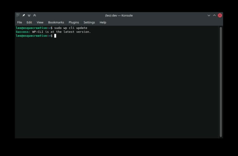 wp-cli update command