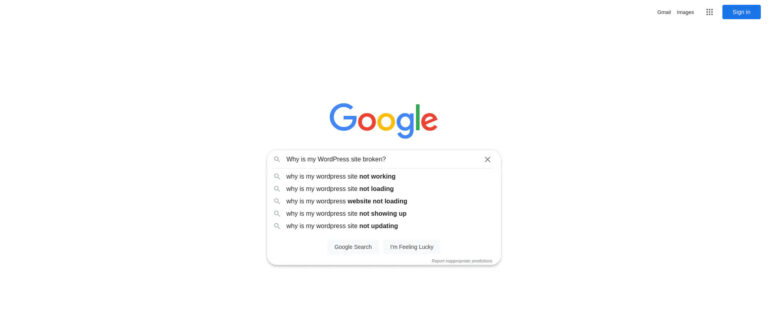 Screenshot of Google Search to Diagnose-Wordpress issues